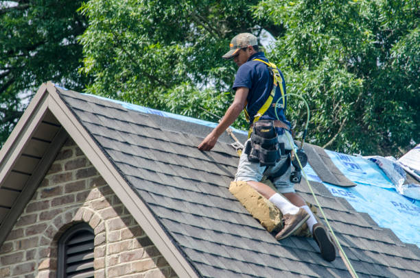 Roof Gutter Cleaning in Mayfield, OH
